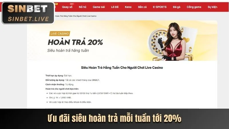 Chương trình hoàn trả cược đá gà